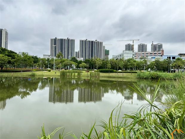 光明四栋统建楼《星汇花园》花园小区房，通燃气，带双层地下停车场，游泳池(图7)