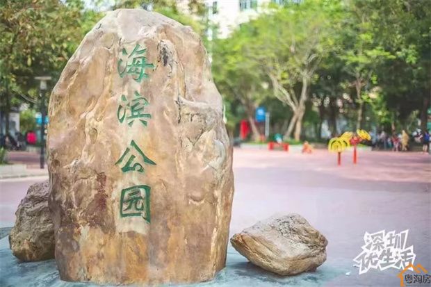 西乡海滨新村小产权房《碧海天城》原始户型，无条件分期五年(图10)
