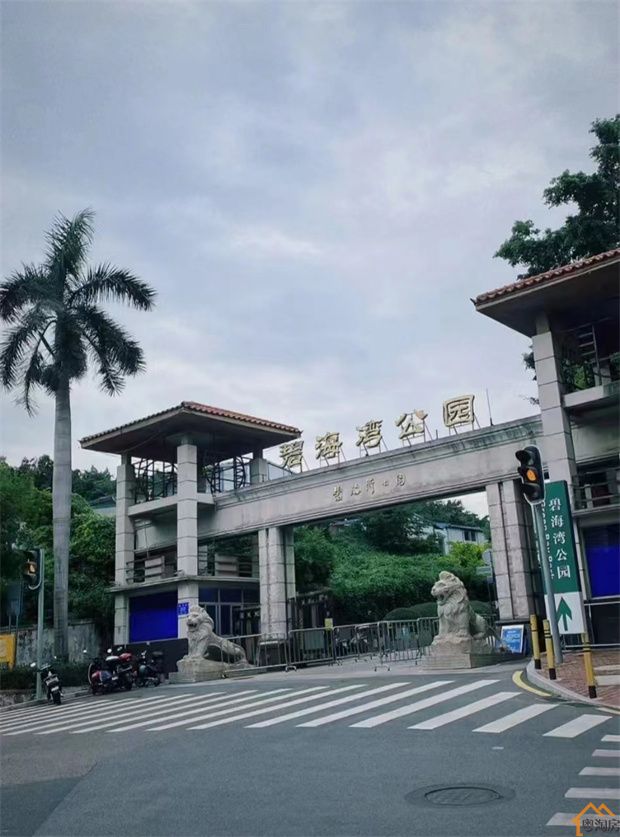 西乡海滨新村小产权房《碧海天城》原始户型，无条件分期五年(图8)