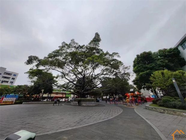 公明上村小产权房《幸福小筑》原始户型，精装三房总价79.8万起(图2)
