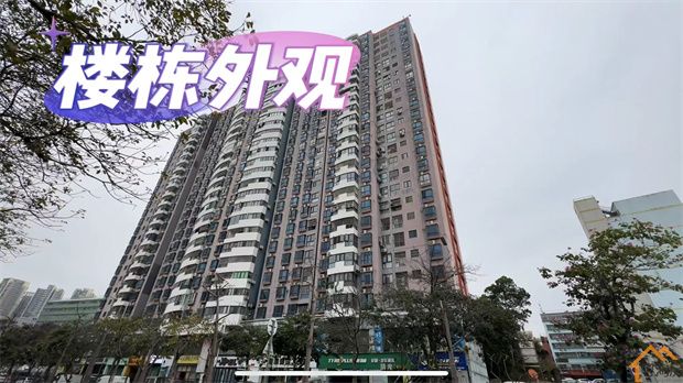 坂田村委统建楼《金域名都》单价2字头/送学位/送豪装(图12)