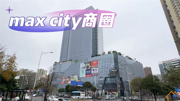 坂田村委统建楼《金域名都》单价2字头/送学位/送豪装(图10)