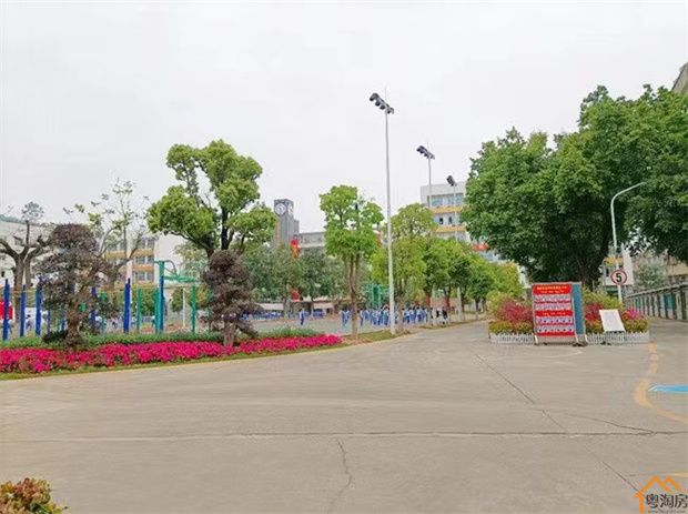 西乡黄麻布小产权(图3)