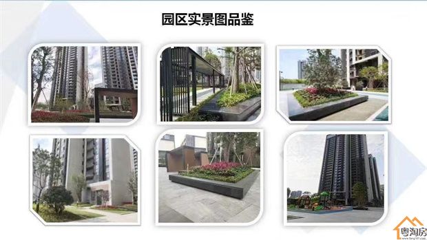 龙华观澜9栋花园小区《九龙山华府》1.88万/平米起，精装现房/通燃气(图3)