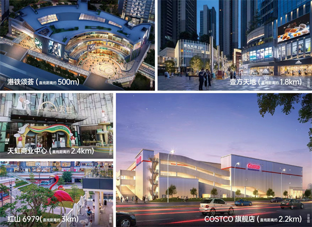 龙华龙胜地铁站《卓越珺奕府》双地铁站物业，稀缺大社区(图8)