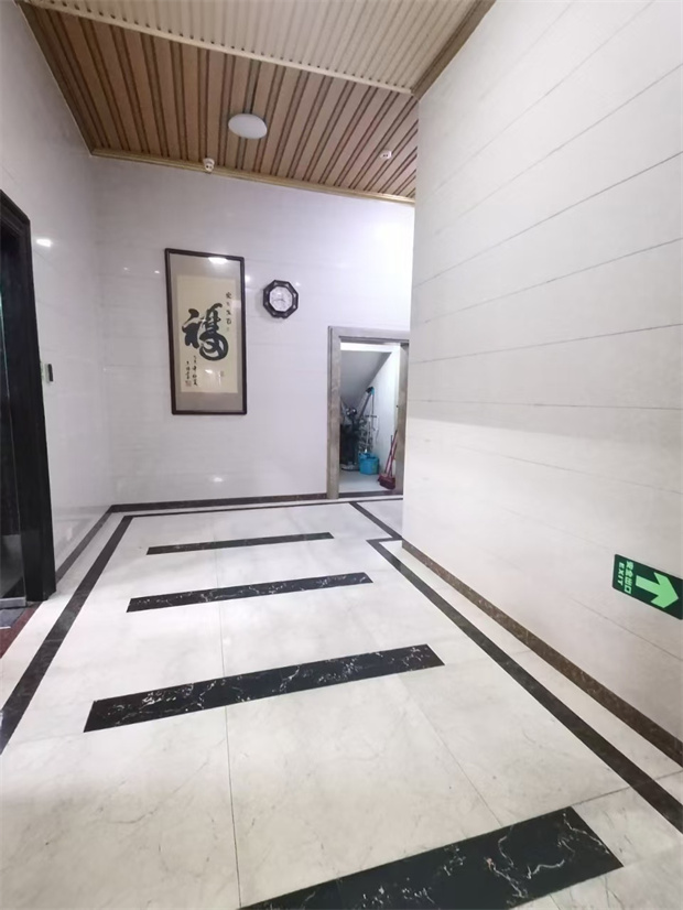 龙华元芬地铁口小产权房《龙胜幸福城》精装总价48.8万起，原始户型(图9)