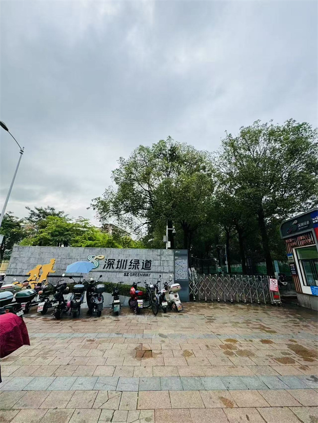大浪小产权房《毓林天玺》稀缺原始户型，单价8180/平(图6)