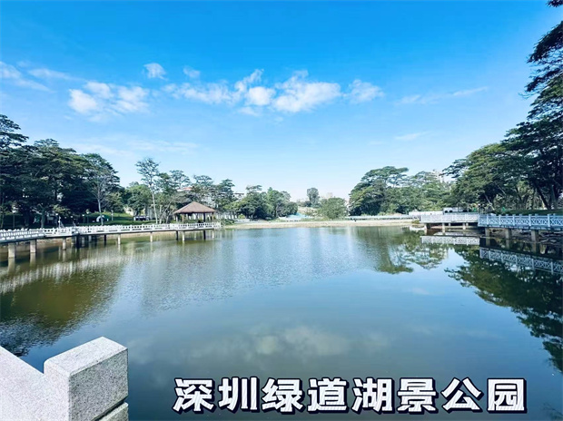 大浪小产权房《毓林天玺》稀缺原始户型，单价8180/平(图3)
