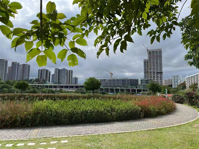 龙岗湿地公园旁小产权房【科高壹号】两房总32.8万/套起，可落户，环境一级棒(图6)