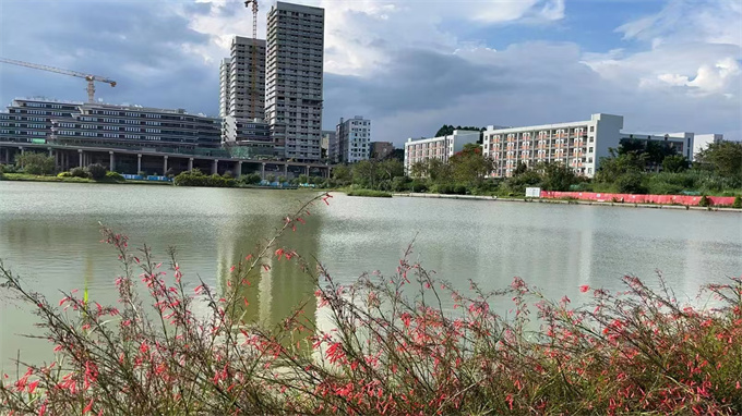 龙岗湿地公园旁小产权房【科高壹号】两房总32.8万/套起，可落户，环境一级棒(图5)