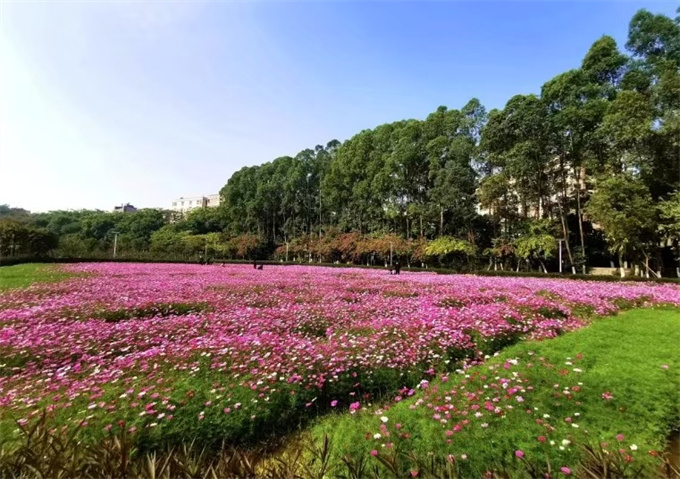 厚街凤山公园【一方中心】4980/平任选，核心地段/高品质楼盘(图5)